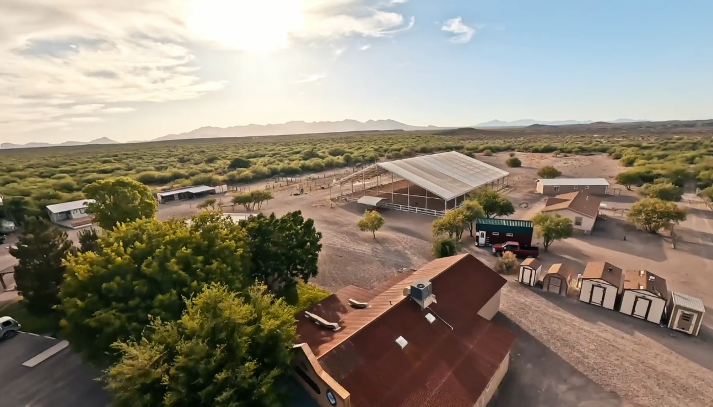 Align Adolescent Recovery for Boys