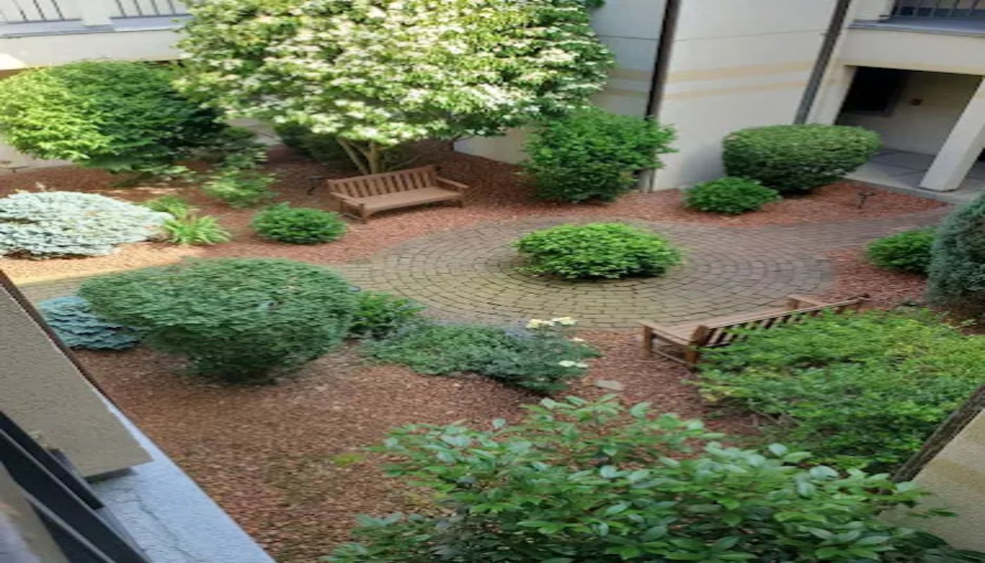 AppleGate Recovery Selinsgrove