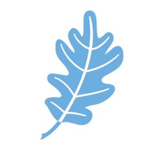 Branches West Sacramento