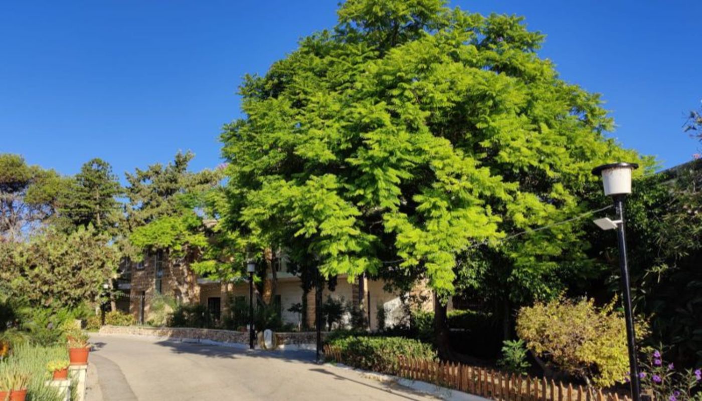 Caritas Malta - San Blas Therapeutic Community