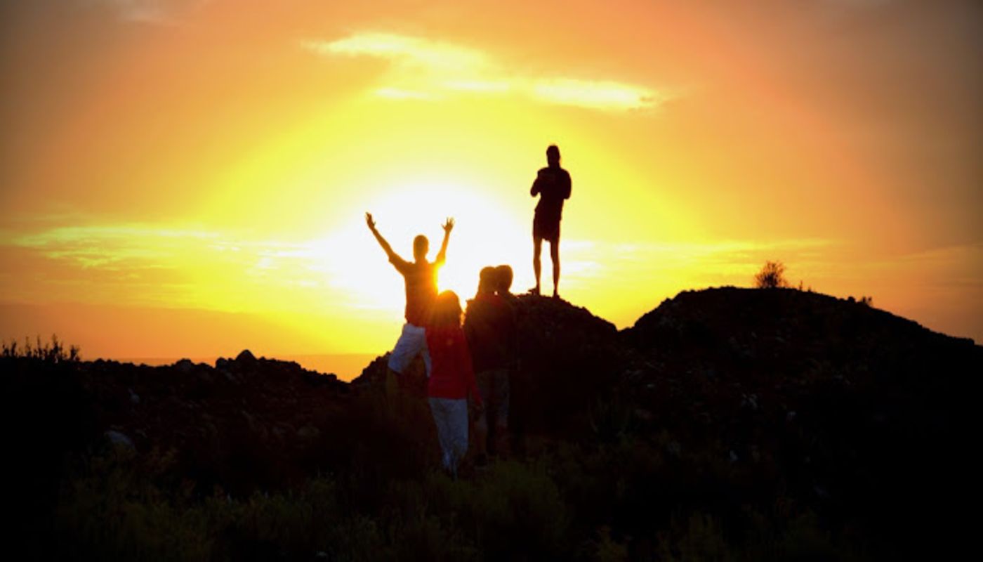 Lifeline Connections Orchards