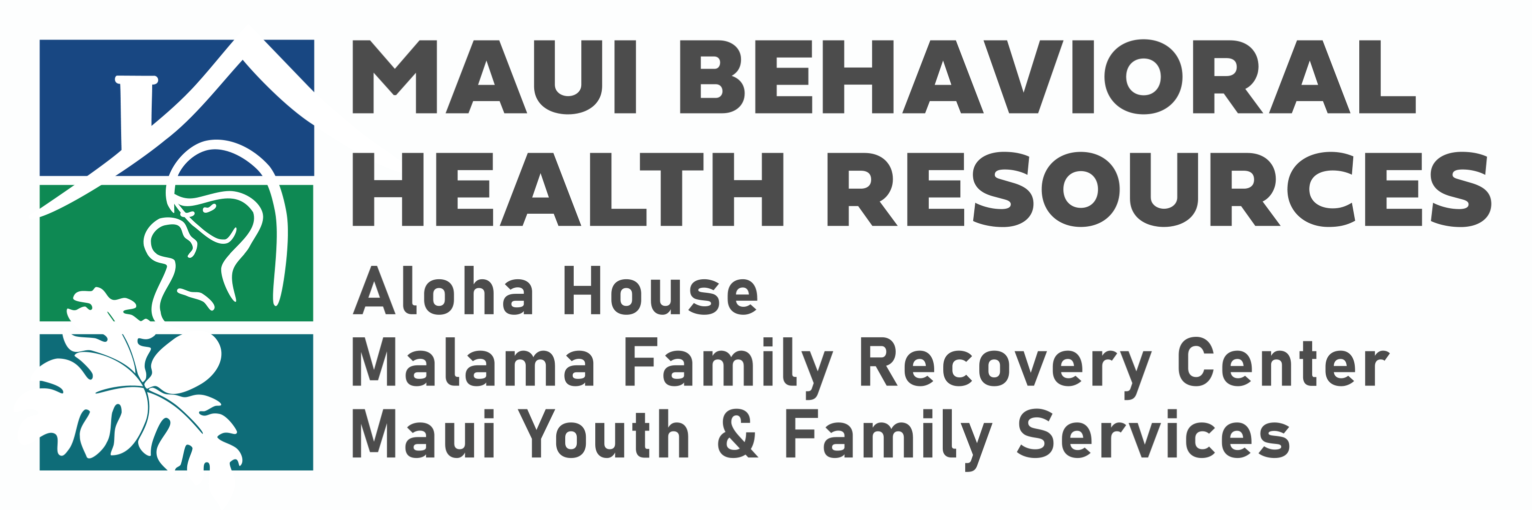 Maui Youth and Family Services Adolescent Community Based Program
