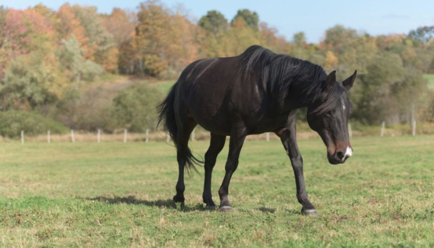 Newport Academy Connecticut