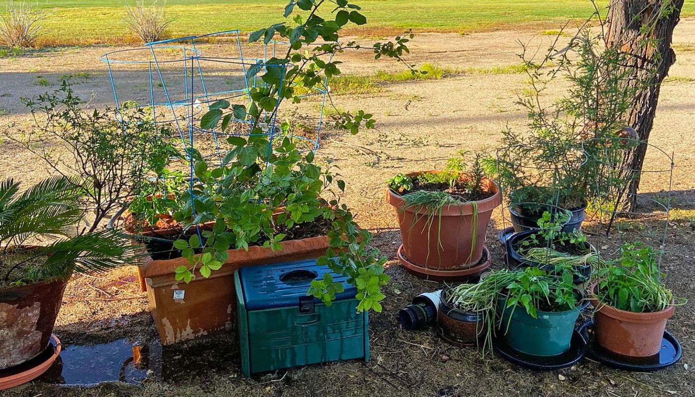 Restoration Recovery Solutions