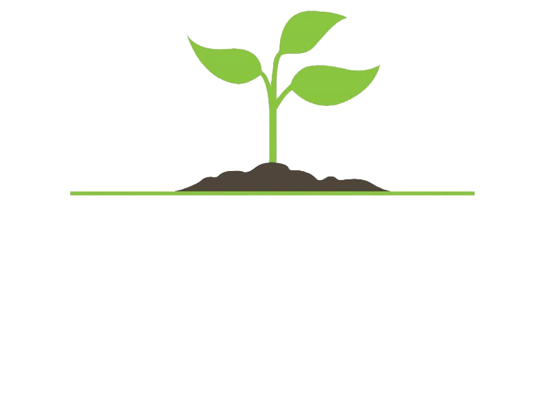 Resurge Recovery