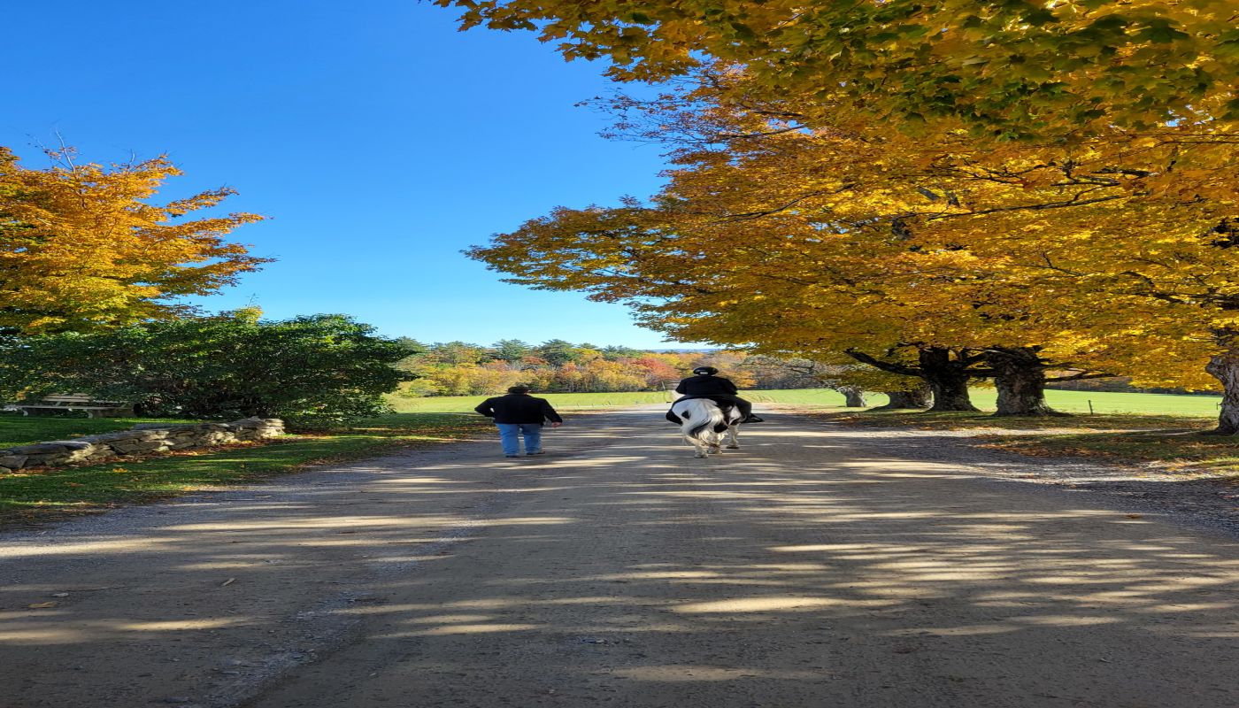 Ridge RTC for Teens - New Hampshire
