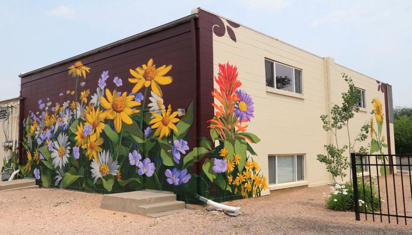 The Clinic for Mental Health and Wellness