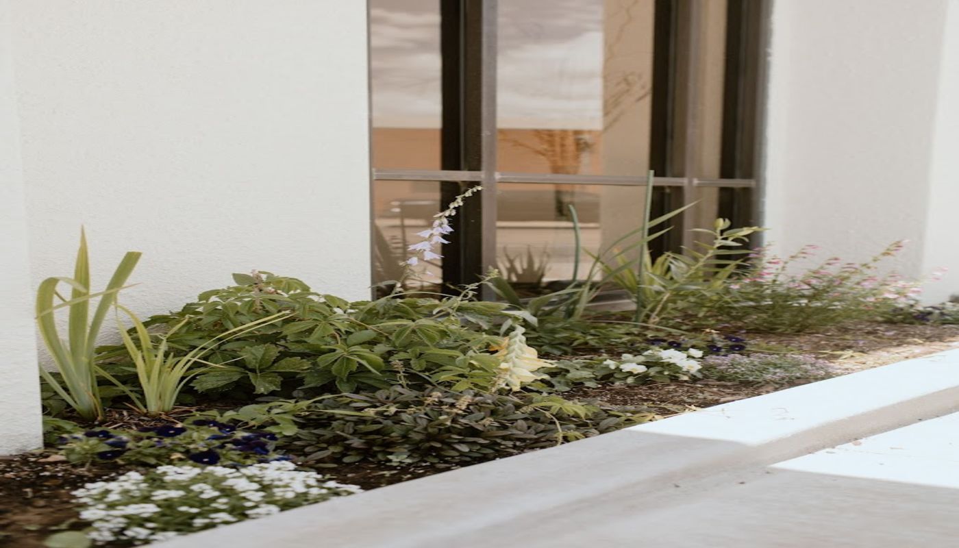 The Clinic for Mental Health and Wellness