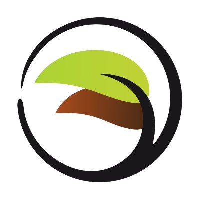 Transitions Counseling and Consulting South Phoenix