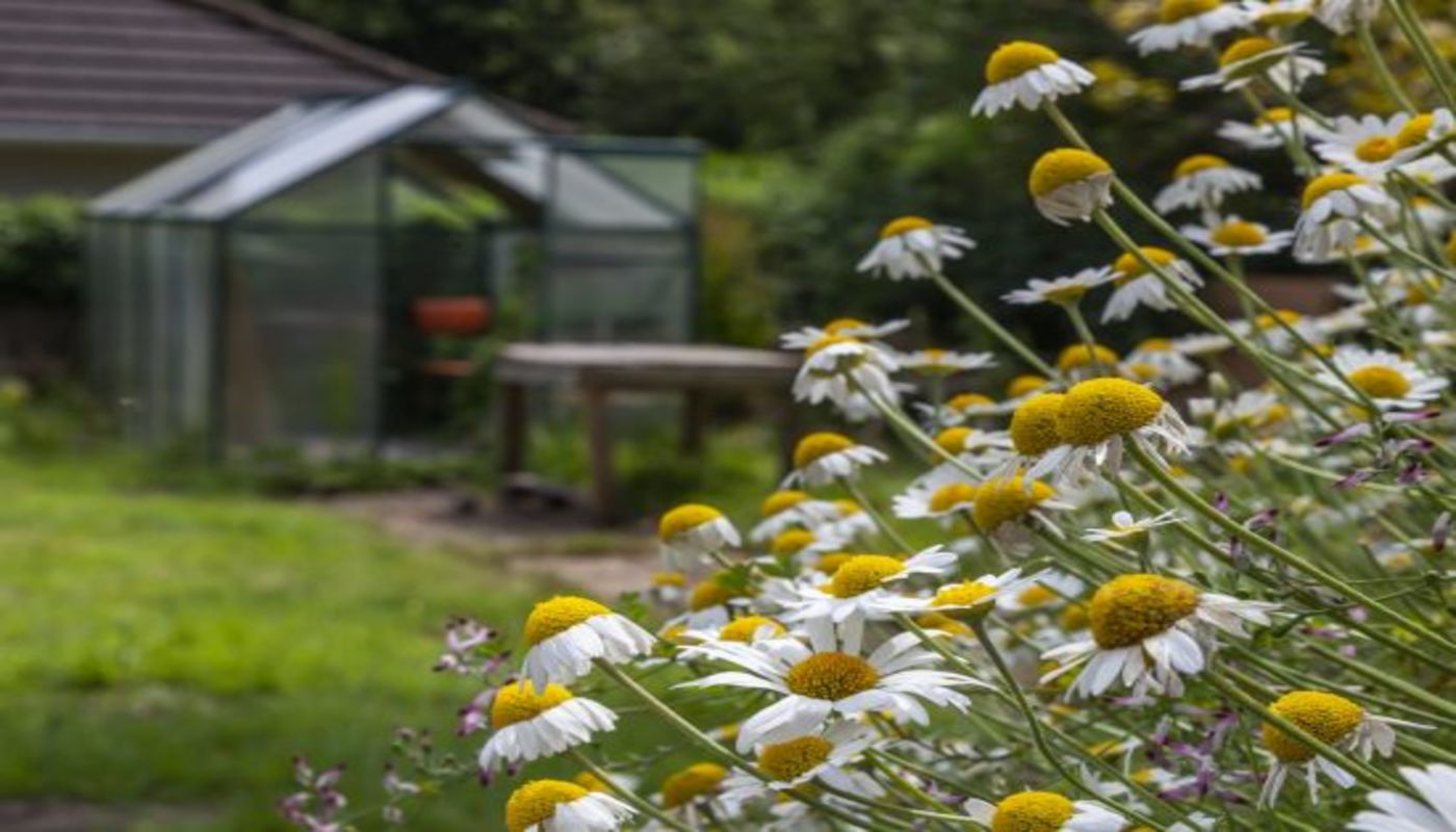 Turning Point - Stanfield House