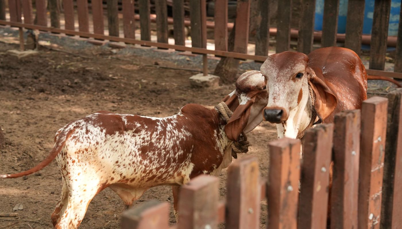 Turning Point Wellness Centre