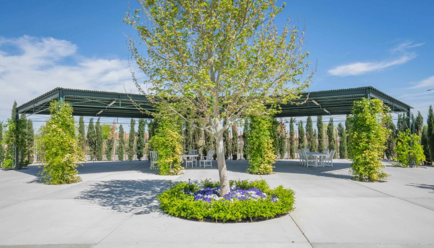 Virtue Recovery Corbett